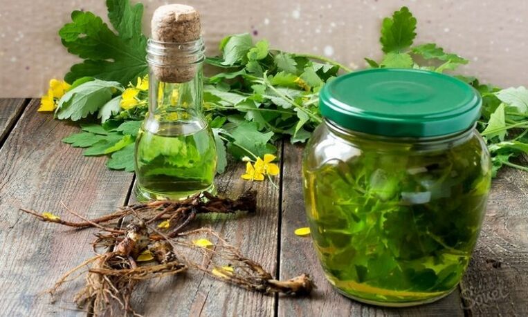 Βάμμα Celandine για μύκητες νυχιών